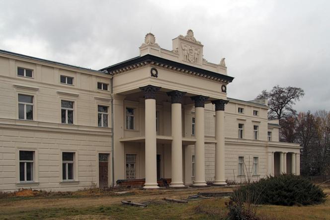 Oto najdroższe pałace na sprzedaż w Wielkopolsce - zobacz zdjęcia