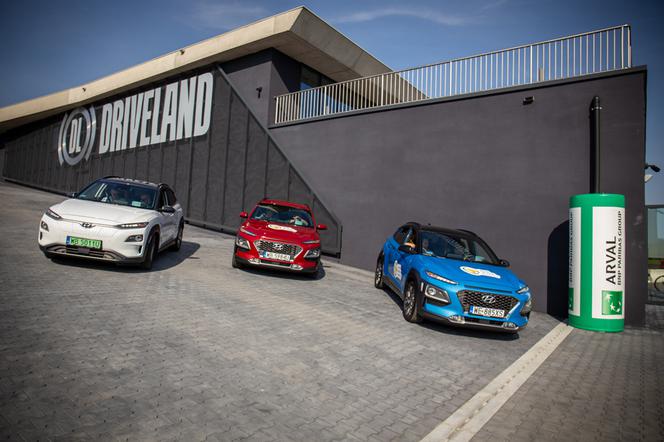 Energy Mix Arval 2020