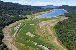 Susza w Polsce. Klimkówka wysycha, Ropa umiera. Poziom wody w zbiorniku cały czas opada - Wody Polskie opieszale reagują na zagrożenie czekając na cud
