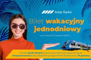 Wakacyjny bilet Kolei Śląskich: Bilet do zwiedzania Śląska