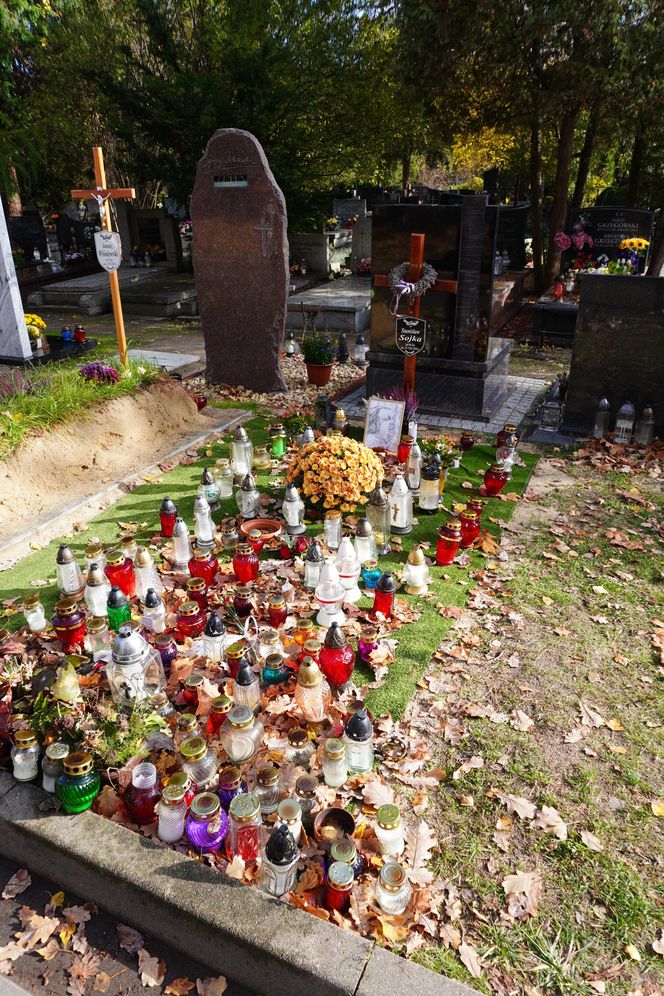 Grób Stanisława Sojki