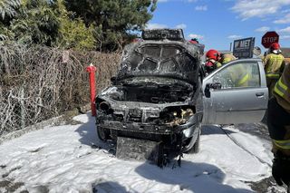 W Dąbczu spaliło się auto