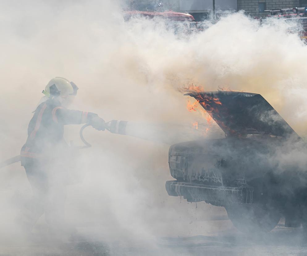 Makabra na autostradzie. Pięcioro dzieci zginęło w potwornym wypadku. Jedno, zamknięte w bagażniku, żyje