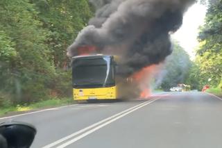 Tarnowskie Góry: Autobus stanął w płomieniach na DK 11! W środku byli pasażerowie