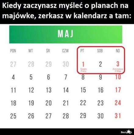 Majwówka 2020 memy