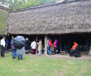 Tak ongiś siekano kapustę w woj. lubelskim. „Obieraczki kapuściane” w Muzeum Wsi Lubelskiej