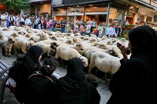 Nowy hit wśród Arabów w Zakopanem. Biorą nawet 20 opakowań za jednym razem!