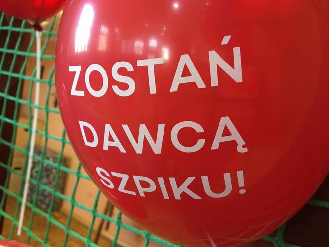 Akcja DKMS w II LO w Grudziądzu