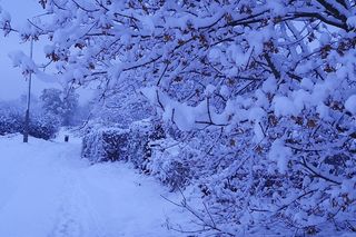 Atak zimy w Śląskiem