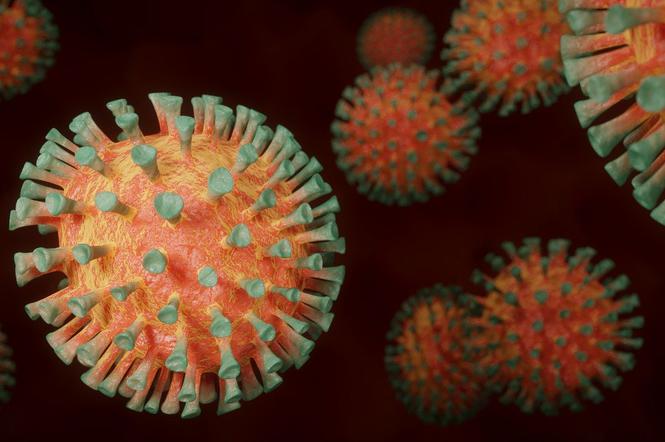 Świętokrzyskie: 32 nowe przypadki zakażenia koronawirusem 