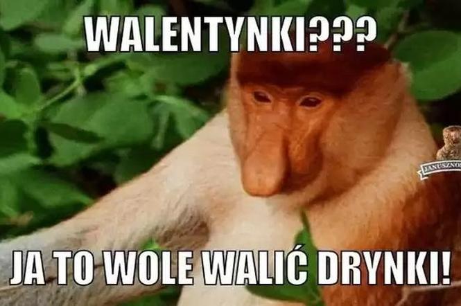 Memy na walentynki 2022 [GALERIA] 