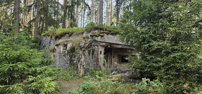 Odwiedziłam jeden z piękniejszych powiatów na Mazurach. To prawdziwy „szlak bunkrowy”