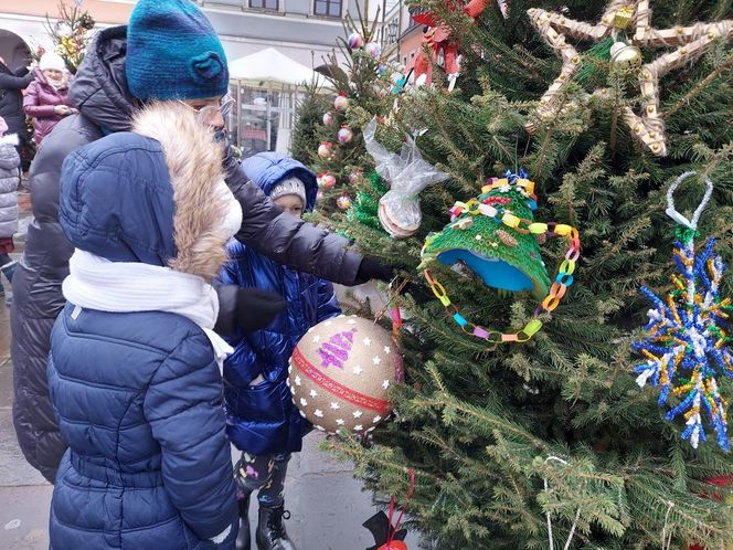  Zamojskie przedszkola i szkoły dekorowały choinki