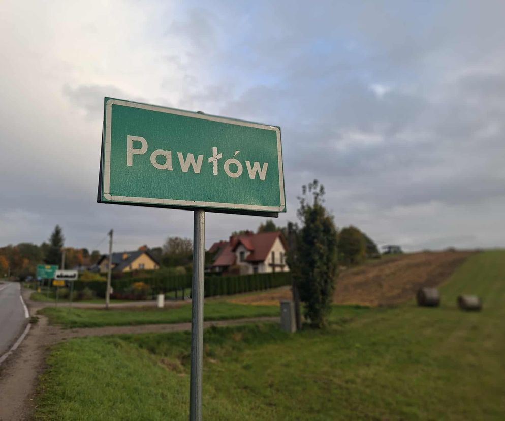 Tragedia w gminie Pawłów. Byk śmiertelnie zaatakował kobietę