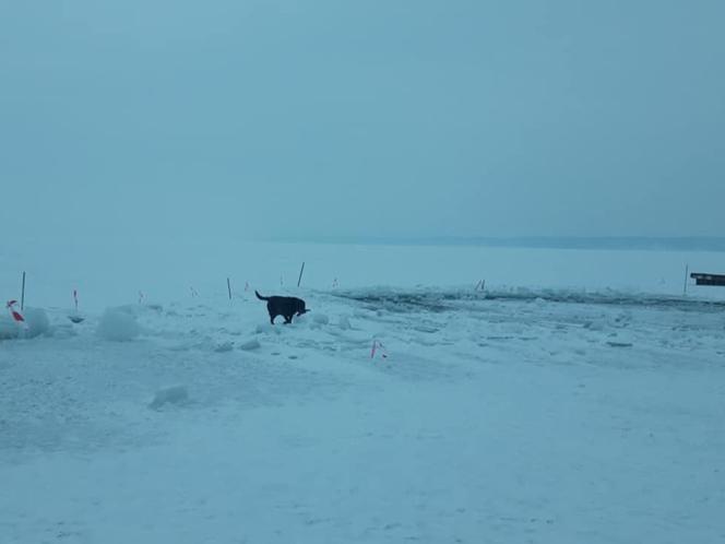 Niesamowite lodowe rzeźby nad jeziorem Niegocin. Wandale zniszczyli pracę giżyckich morsów