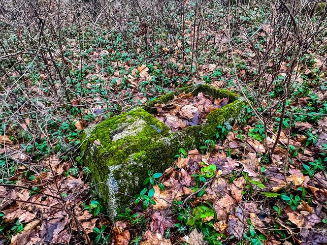 Tak wygląda XIX-wieczny cmentarz ewangelicki w Bynowie