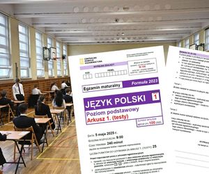 Matura polski 2025. Już są ARKUSZE CKE. Sugerowane odpowiedzi PDF. Sprawdź, czy zdałeś! RELACJA NA ŻYWO 5.05
