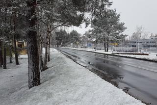 Dziś (19.03.) ostatni dzień zimy. Jutro (20.03.) początek astronomicznej wiosny