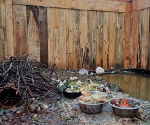 Nutrie w Nutrowisku potrzebują pomocy