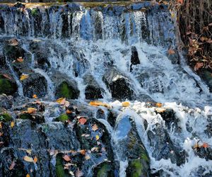 Ogród Botaniczny we Wrocławiu