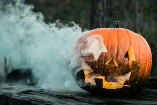 Halloween 2024 w Białymstoku. Co robić 31 października na Podlasiu? Imprezy i pokazy horrorów