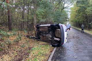 Wypadek na granicy dwóch powiatów. Kobieta uderzyła samochodem w drzewo