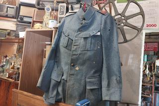 Gniazdo Staroci w Wiśniowej