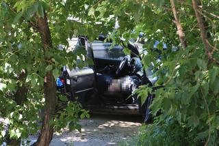 ZWŁOKI POD BIEDRONKĄ