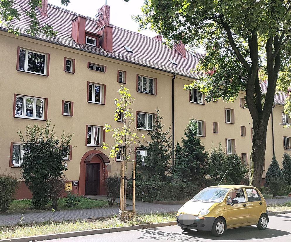 Gliwice: Zmaltretowanego 4-letniego Ignasia zauważyła Ukrainka. Potem na jaw wyszła szokująca prawda