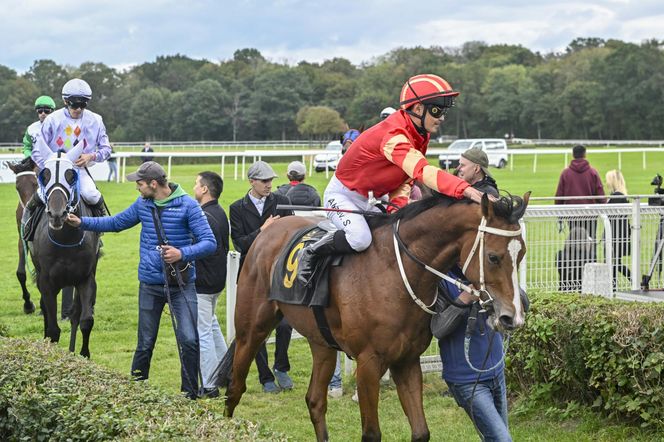 Wielka Warszawska 2025