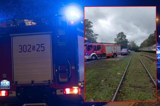 Tragedia na torach! Nie żyje pracownik ochrony. Maszynista był nietrzeźwy