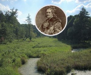 Tu na Mazowszu polował sam Władysław Jagiełło. Miejsce zachwyca do dziś