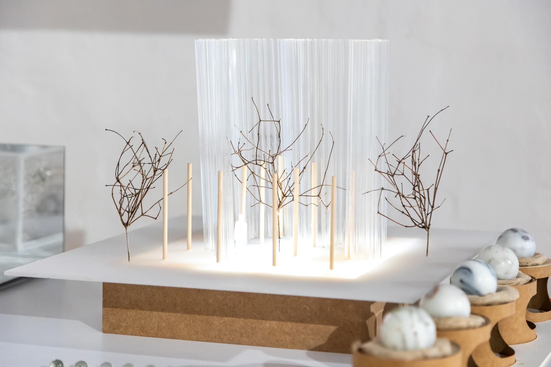 Łódź Design Festival 2025