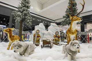 Zimowa iluminacja w Galerii Północnej. Niedźwiedzie polarne, choinkowa chatka i św. Mikołaj