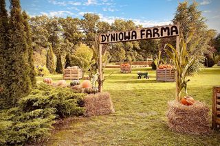 Dyniowa Farma