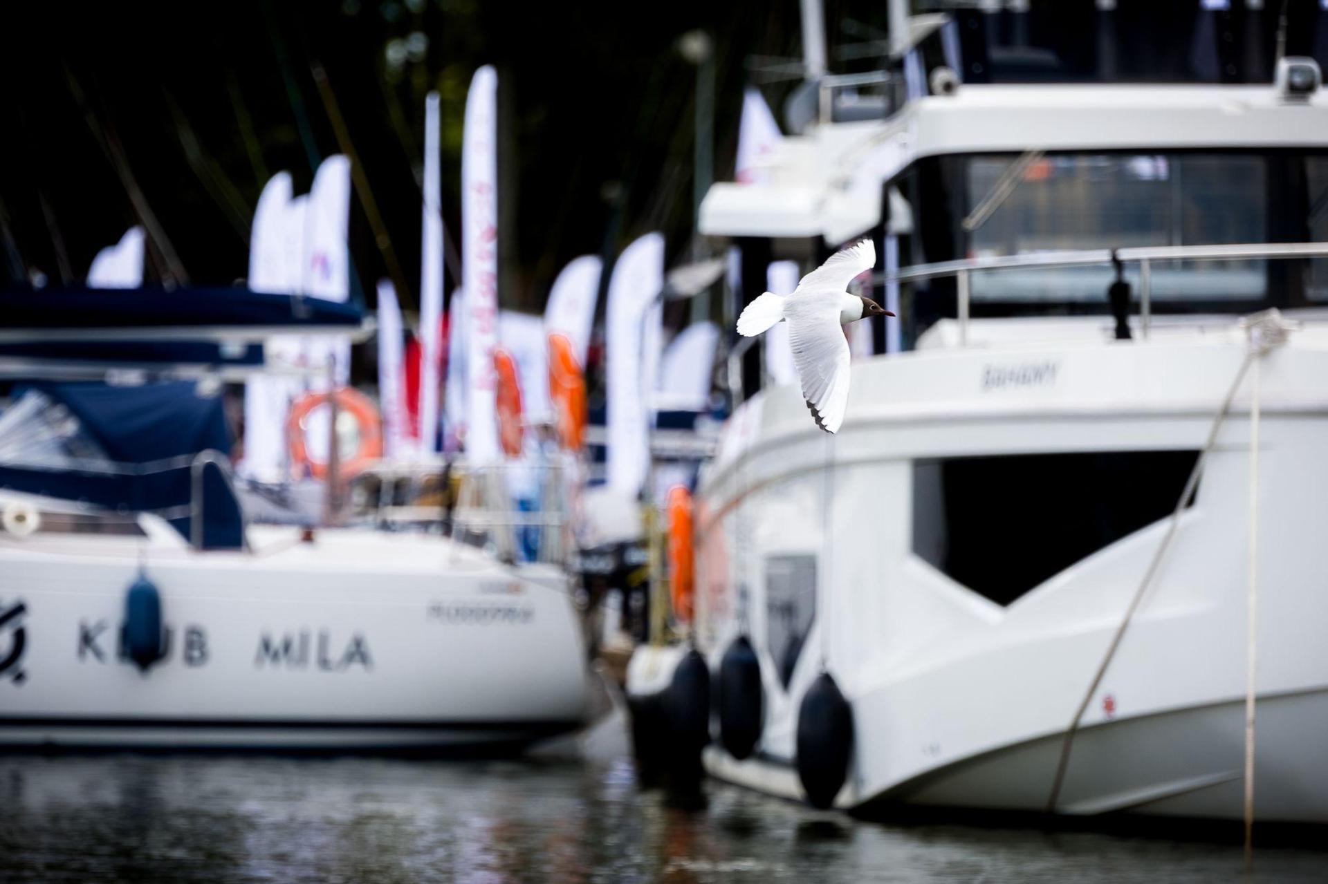 Regaty architektów 2024