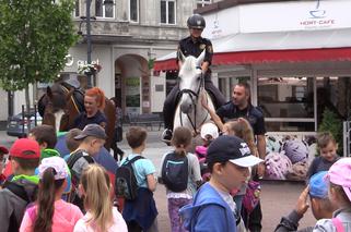 Na mundial nie pojadą, ale dryblowały na piątkę i to między kopytami! [WIDEO]. Zobaczcie, jak konie straży miejskiej grają w piłkę!