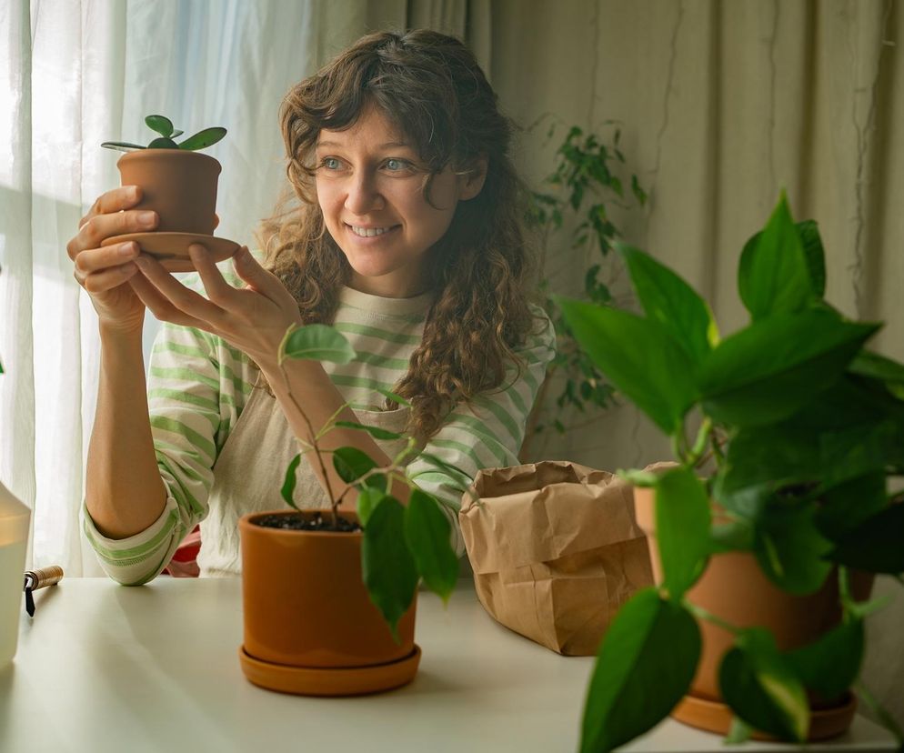 Roślina przynosząca miłość