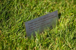 10 tys. zł dla WOŚP za drzewko na pl. Centralnym. Wyjątkowy gest pracowników firmy Balzola