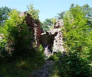 Las Arkoński