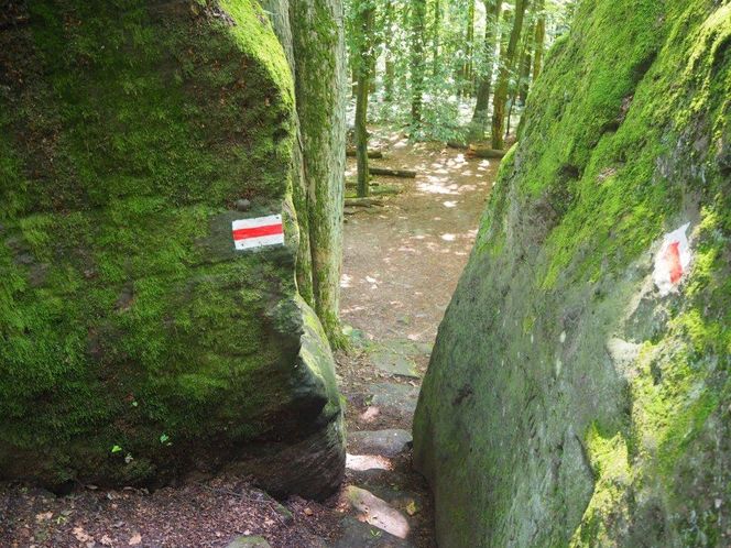 Perzowa Góra w gminie Strawczyn