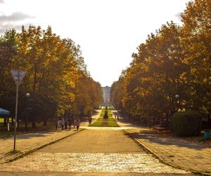 4. Park Śląski w Chorzowie