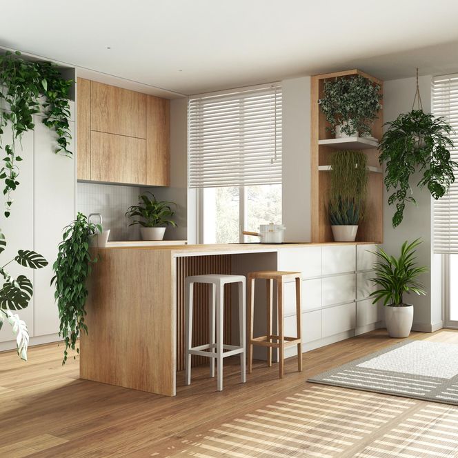 Biophlic design w kuchni