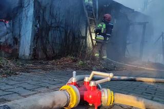 Toruń: Pożar pustostanu przy Szosie Chełmińskiej. Imponująca łuna ognia