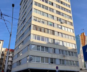 Trzonolinowiec we Wrocławiu