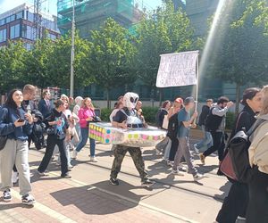 Korowód studencki rozpoczyna Juwenalia Śląskie 2025 w Katowicach
