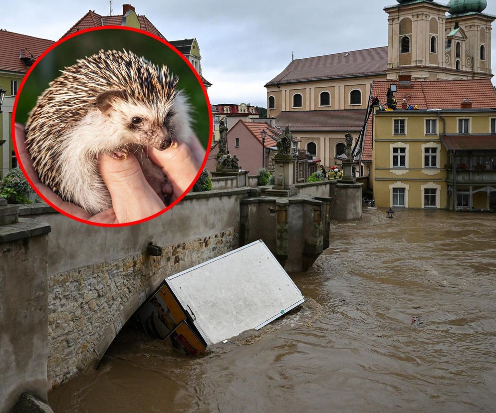 Żegnał się z ukochanym ośrodkiem po prawie 20 latach. Powódź nie zatrzymała ludzkich serc z drugiego końca kraju