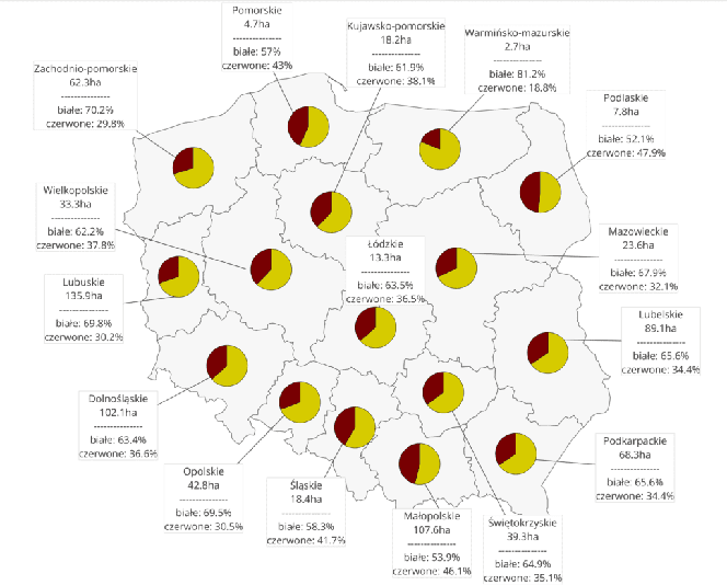 Powierzchnia upraw winorośli w województwach, z podziałem na odmiany białe i czerwone