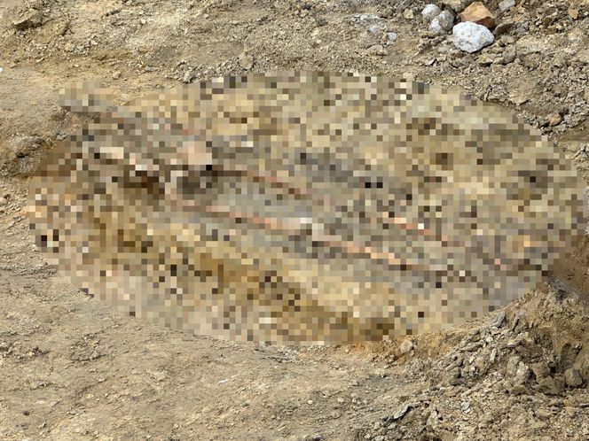 Na budowie trasy tramwajowej wykopali ludzki szkielet. Czyje szczątki odnaleziono?