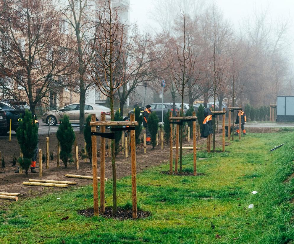 Park osłonowy na Naramowicach w Poznaniu